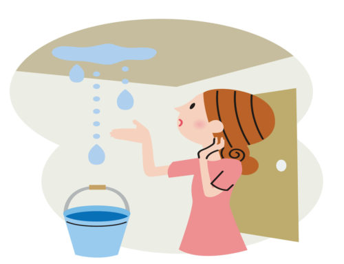 原因は屋根だけじゃない?? 雨漏りのリスクをおさえる家づくりとは？