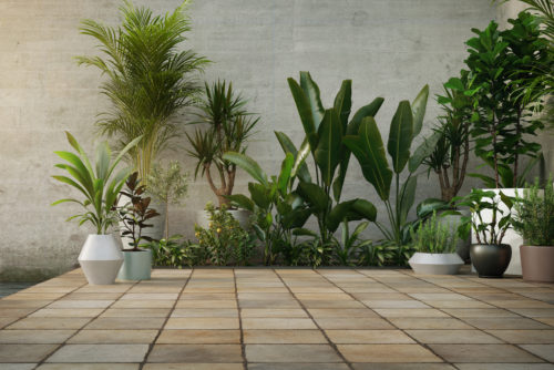 Concrete wall and Plant in pot on stone flooring tile, background. Place for your product, text. 3d render.